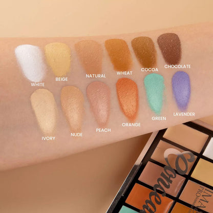 IMAGIC Professional-12Color Correction Palette.