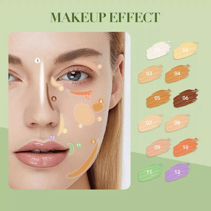 IMAGIC Professional-12Color Correction Palette.